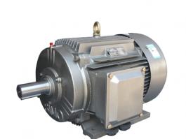 4極200kwkaiyun体育网页版本YE5-315L2-4超高能效IE5一級能效三相異步電動機
