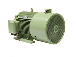 TYP5係列變頻調速永磁同步電機